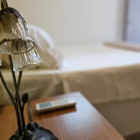 Liberty Roof House *